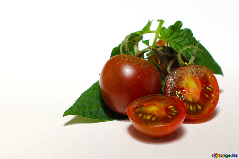 Tomatoes with leaves №32899