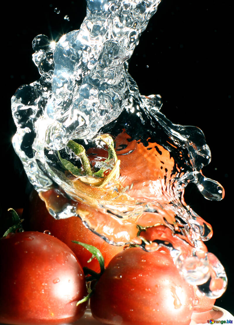 Tomatoes №32884
