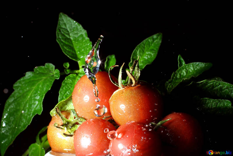 Tomates sabrosos №32868