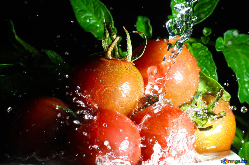 Wet tomatoes №32864