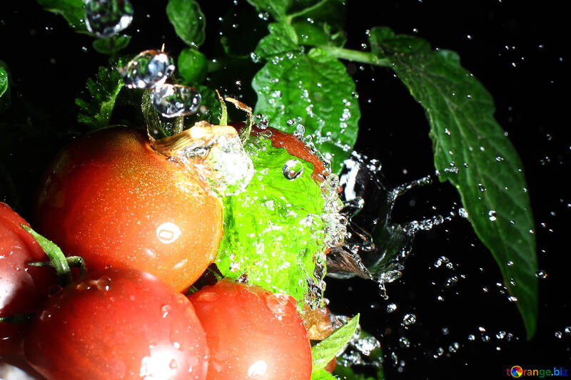 Pomodori con spruzzi d`acqua su sfondo scuro №32875