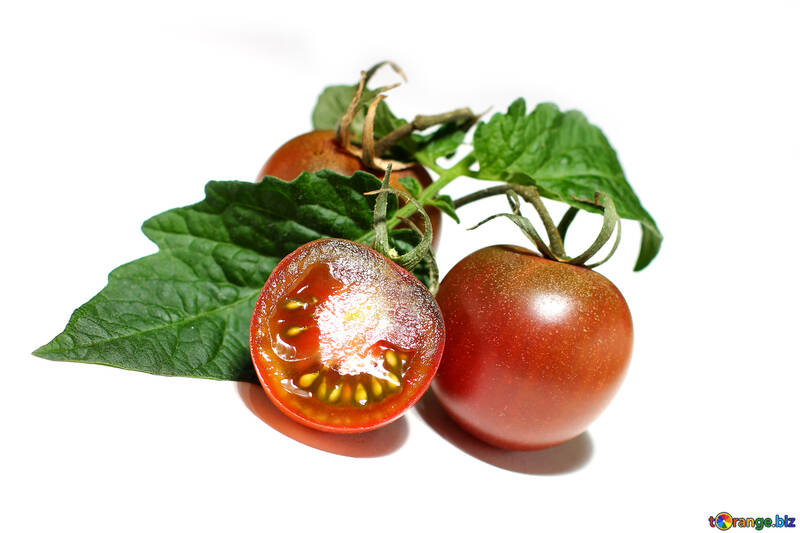 Tomates en fondo blanco №32913