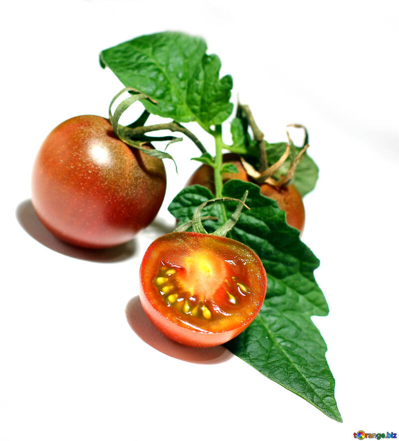 Chapa aislada de tomate №32915