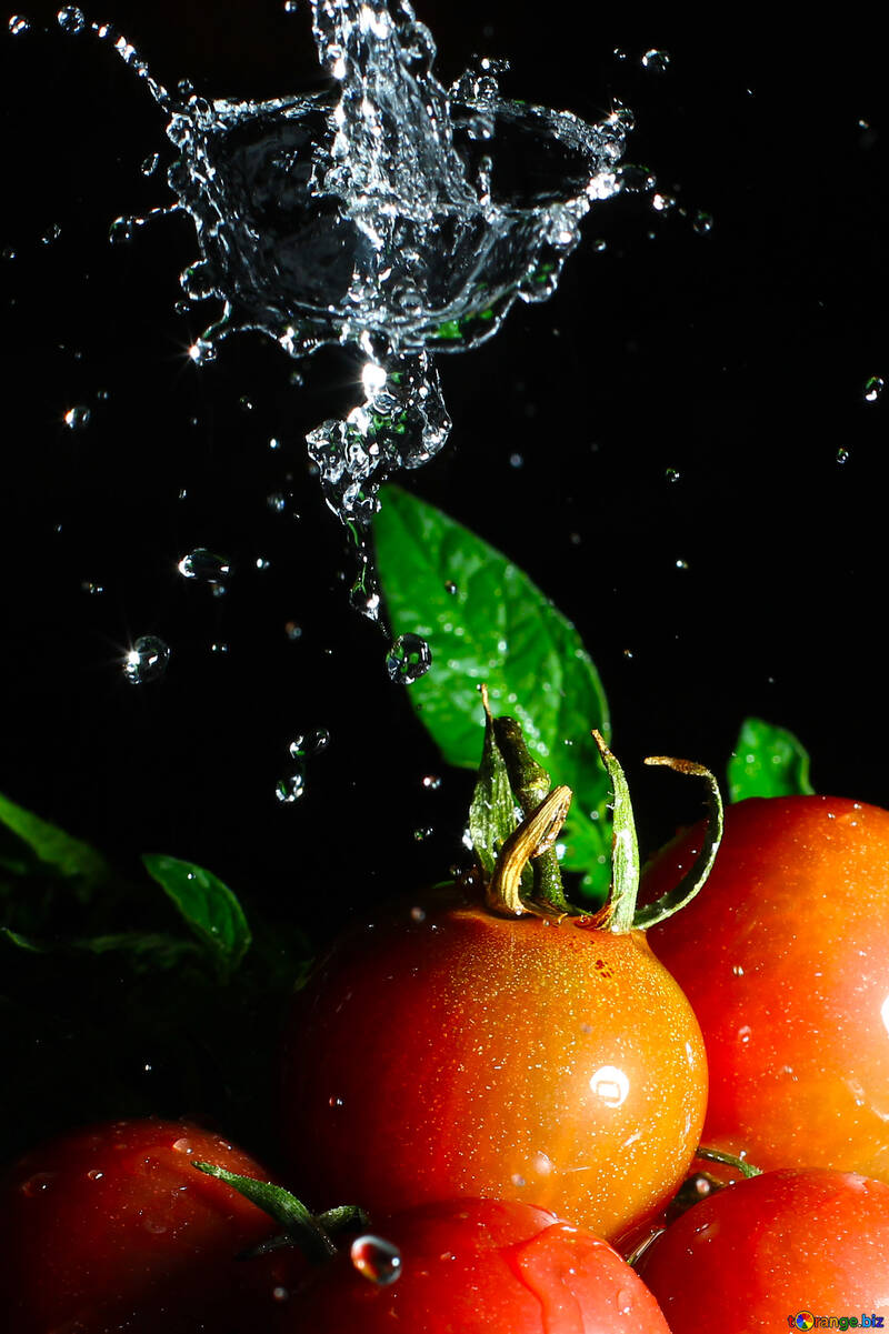 Tomates rojos y spray de agua №32856