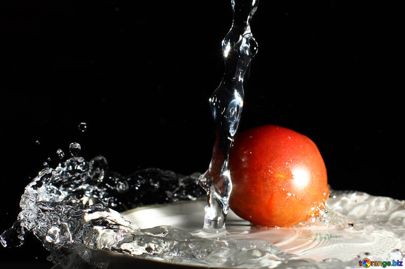 Tomaten unter fließendem Wasser №32889