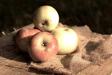 リンゴ №33547