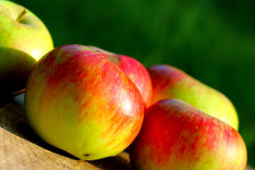 Apples №33578