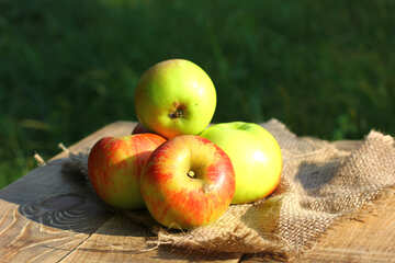 Manzanas de otoño №33543