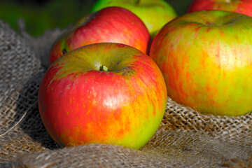 Köstliche Äpfel №33563