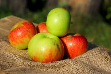 Season apples №33550