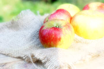 Sommer-Äpfel №33565