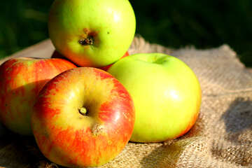 Die Äpfel auf dem Tisch №33545