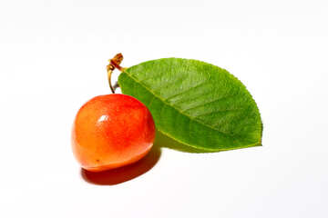 Berry cherries on white background №33194