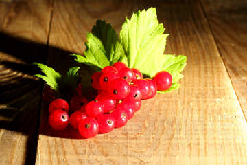 Ribes rosso Berry №33212