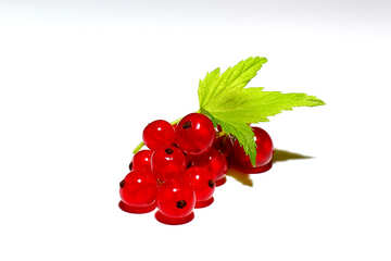 A bunch of red currants isolated №33224