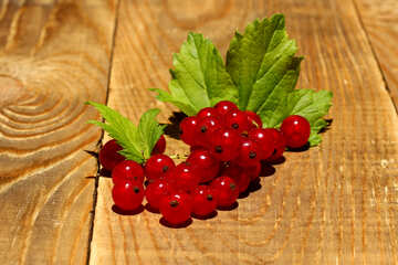 Red currant №33215