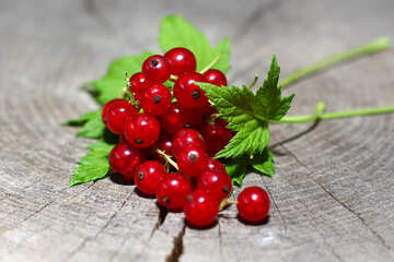Red currant on wooden background №33243