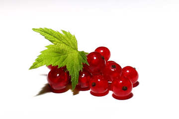 Redcurrant berries isolated №33223