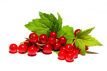 Ripe red currant isolated №33225