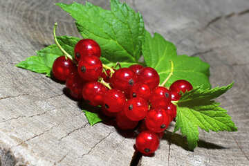 Useful red currant №33232
