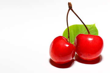 Cherry isolated №33197