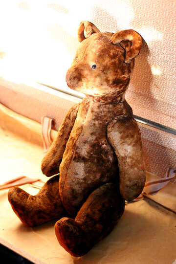 Old teddy bear №33517