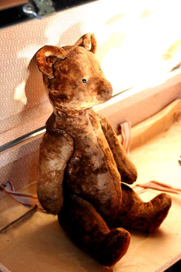 Vecchio orso giocattolo №33518