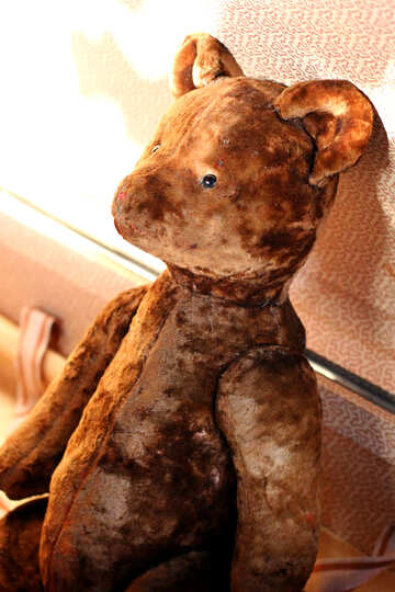 Old teddy bear №33520