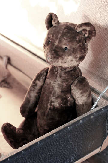 Teddy bear №33515