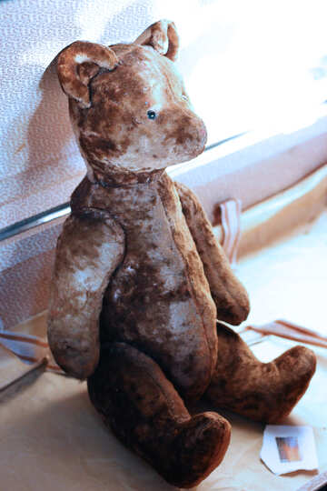 Teddybär №33519