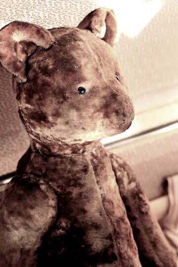 Teddy bear №33521