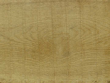 La texture è legno chiaro №33312