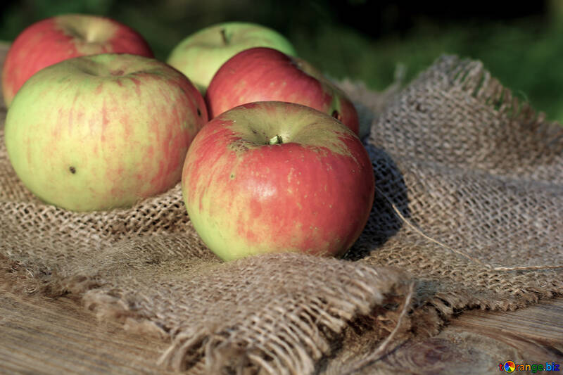 Homemade apples №33564