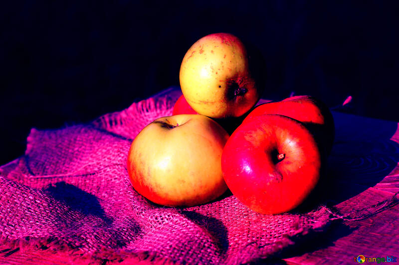 放射性のリンゴ №33549