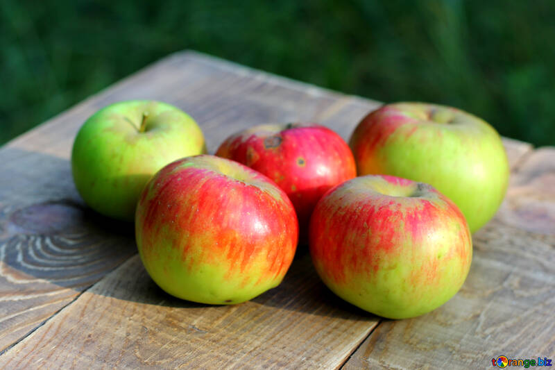Manzanas maduras №33579