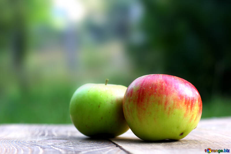Zwei Äpfel №33585