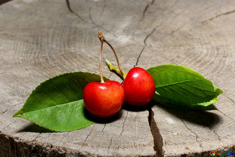 Ripe cherries №33203