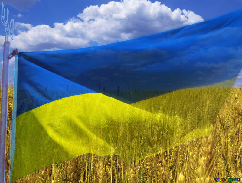 ウクライナの旗 №33620