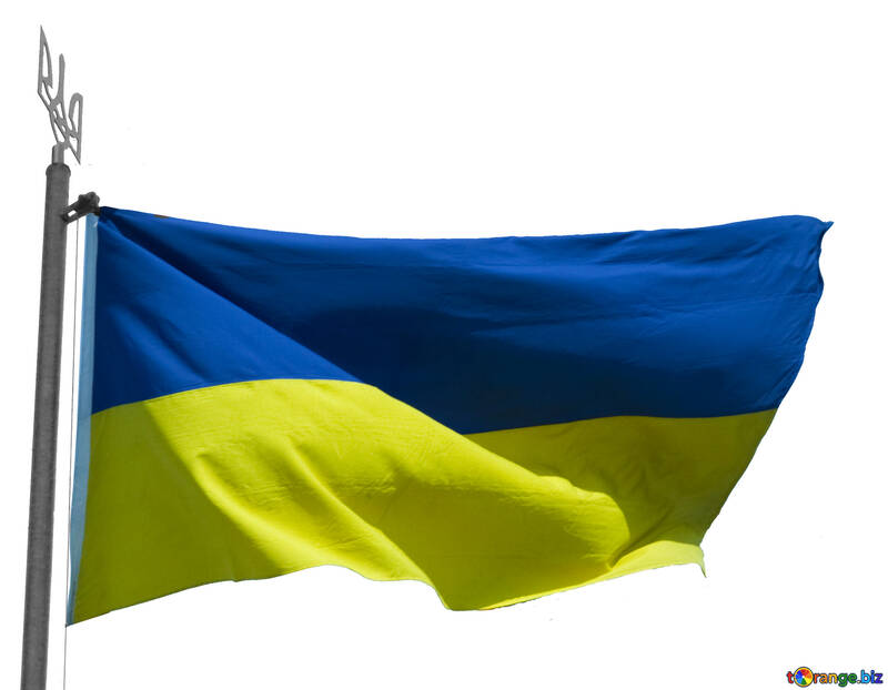 The flag of Ukraine on white background insulated №33621