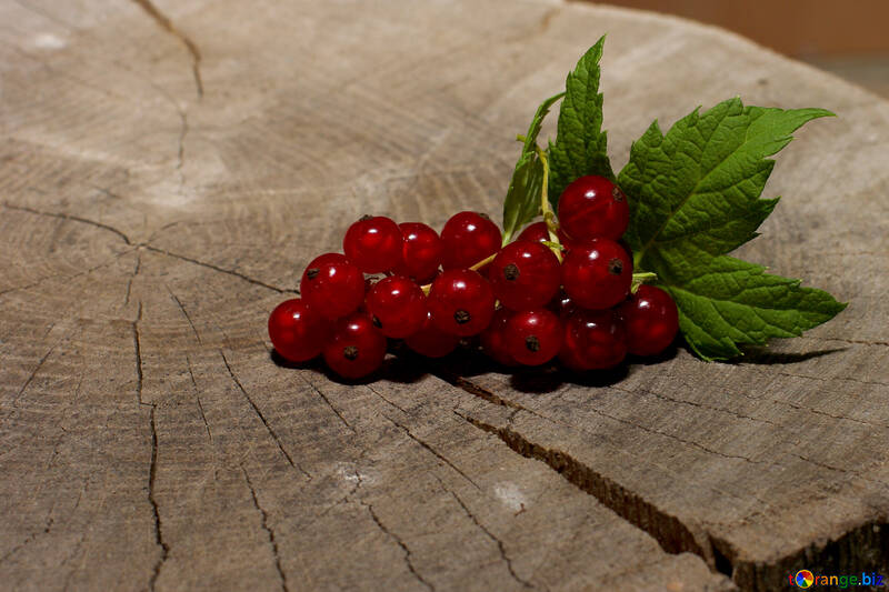 A bunch of redcurrant berries with leaves №33219