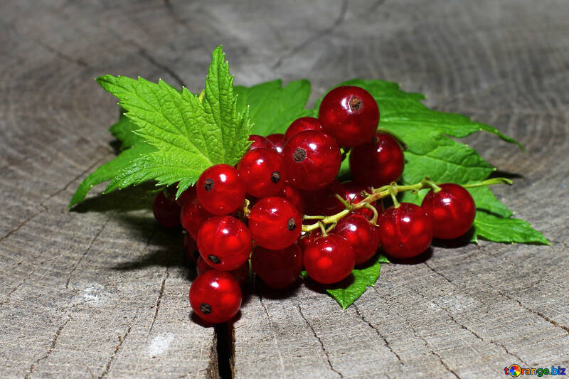 Delicious red currant №33233