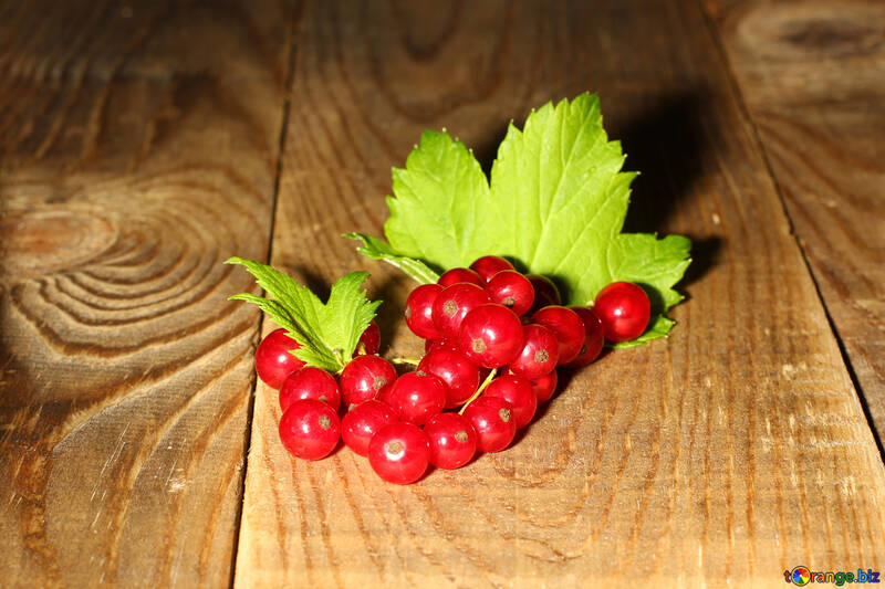 Red currant №33209
