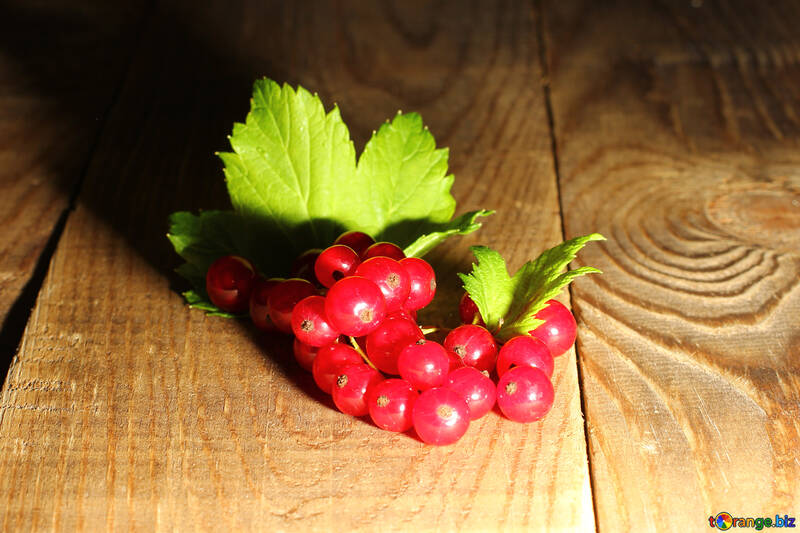 Red currant in direct sunlight №33210
