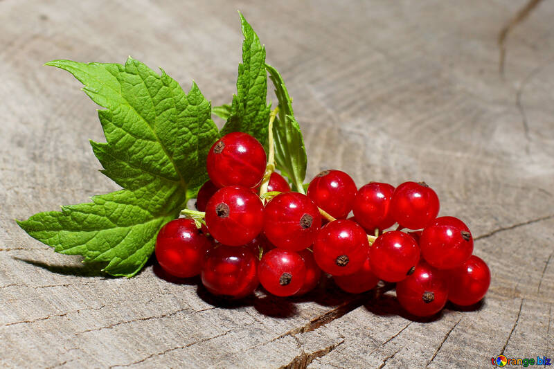 Redcurrant berries №33221