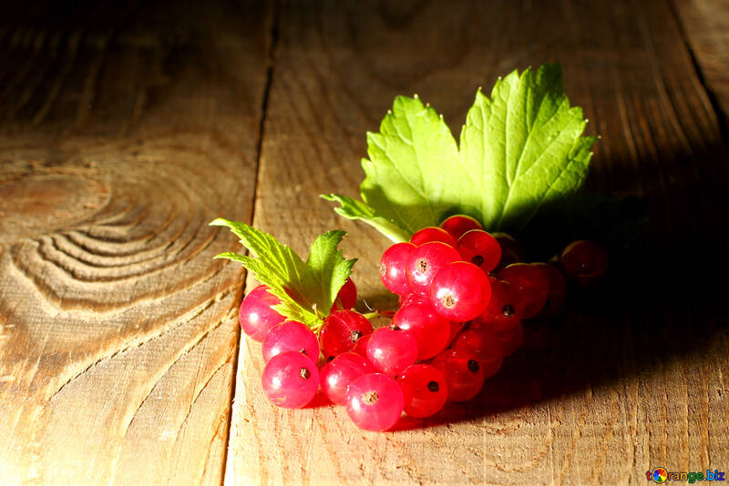 Ripe red currant №33211