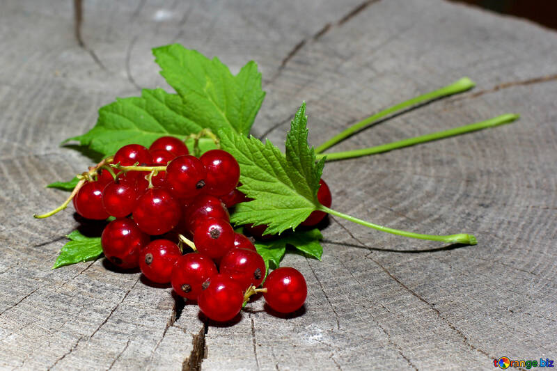 Ripe red currant №33236