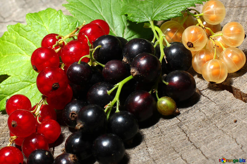 Variétés de raisins de Corinthe №33153