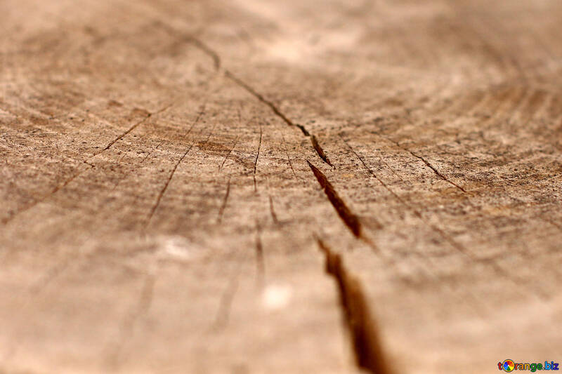 Slice logs texture №33252