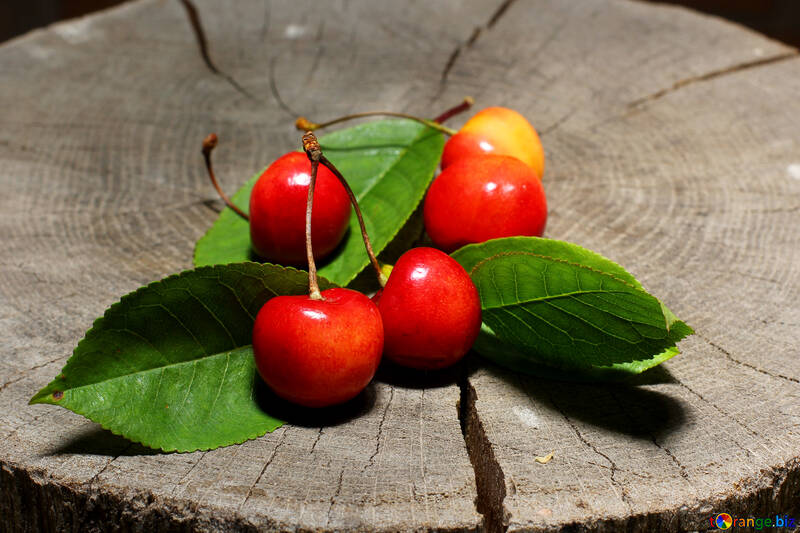 Berry Cherry  №33201