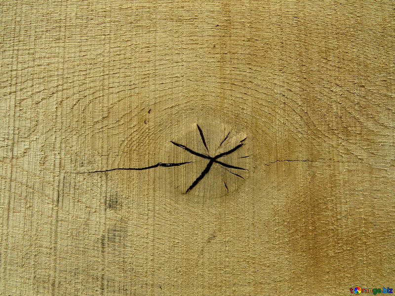 Knot on wood texture №33310
